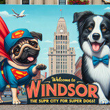dog boarding Windsor